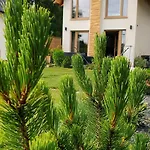 Holiday home Sjesta Al Mare, Z Sauna I Balia Z Jacuzzi *