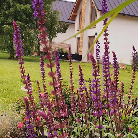 別荘 Sjesta Al Mare, Z Sauna I Balia Z Jacuzzi *