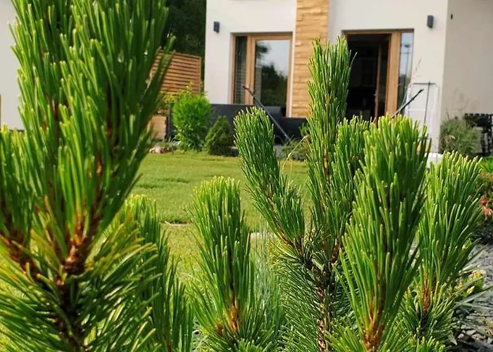 度假居 Sjesta Al Mare, Z Sauna I Balia Z Jacuzzi *