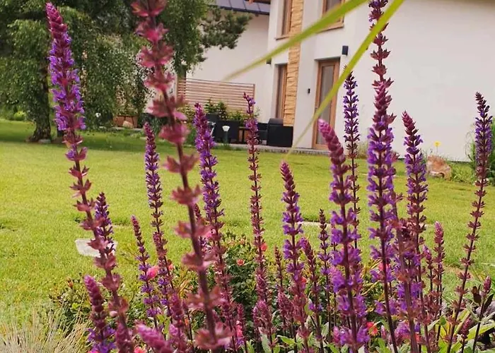 度假居 Sjesta Al Mare, Z Sauna I Balia Z Jacuzzi *